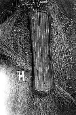 The enanga instrument
